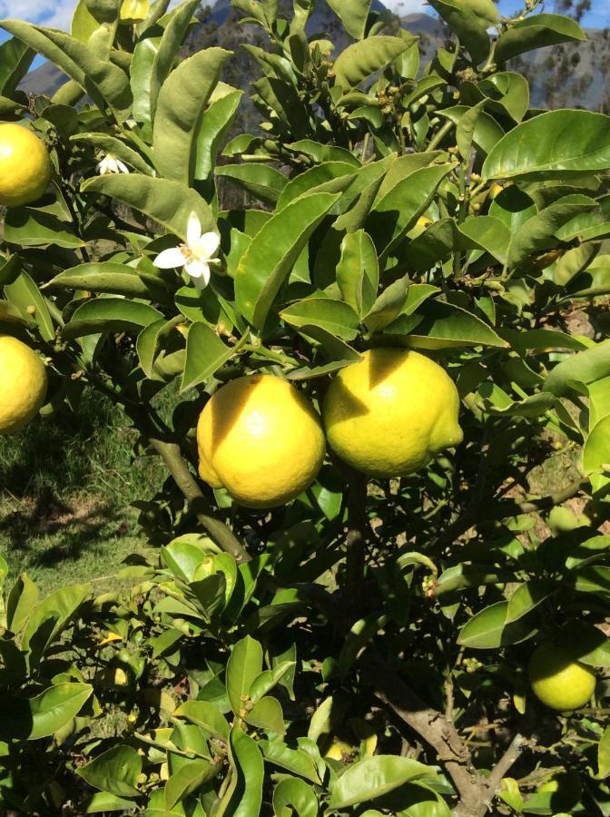 كوتاكاتشي Hosteria Oro Azul المظهر الخارجي الصورة